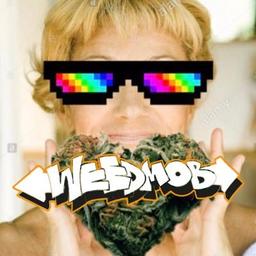 Tante Molotov ᶜ ᵃ ⁿ ⁿ ᵃ ⁴ ² ⁰💭's Profile Image