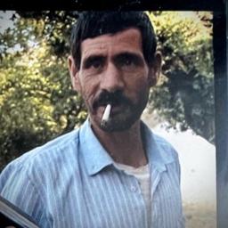 Peter Wied's Profile Image