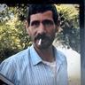 Peter Wied's Profile Image