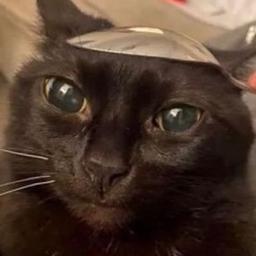 čΠ₹×№tº‽ė's Profile Image