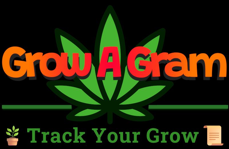 Header Image from Grow "Schokodude"