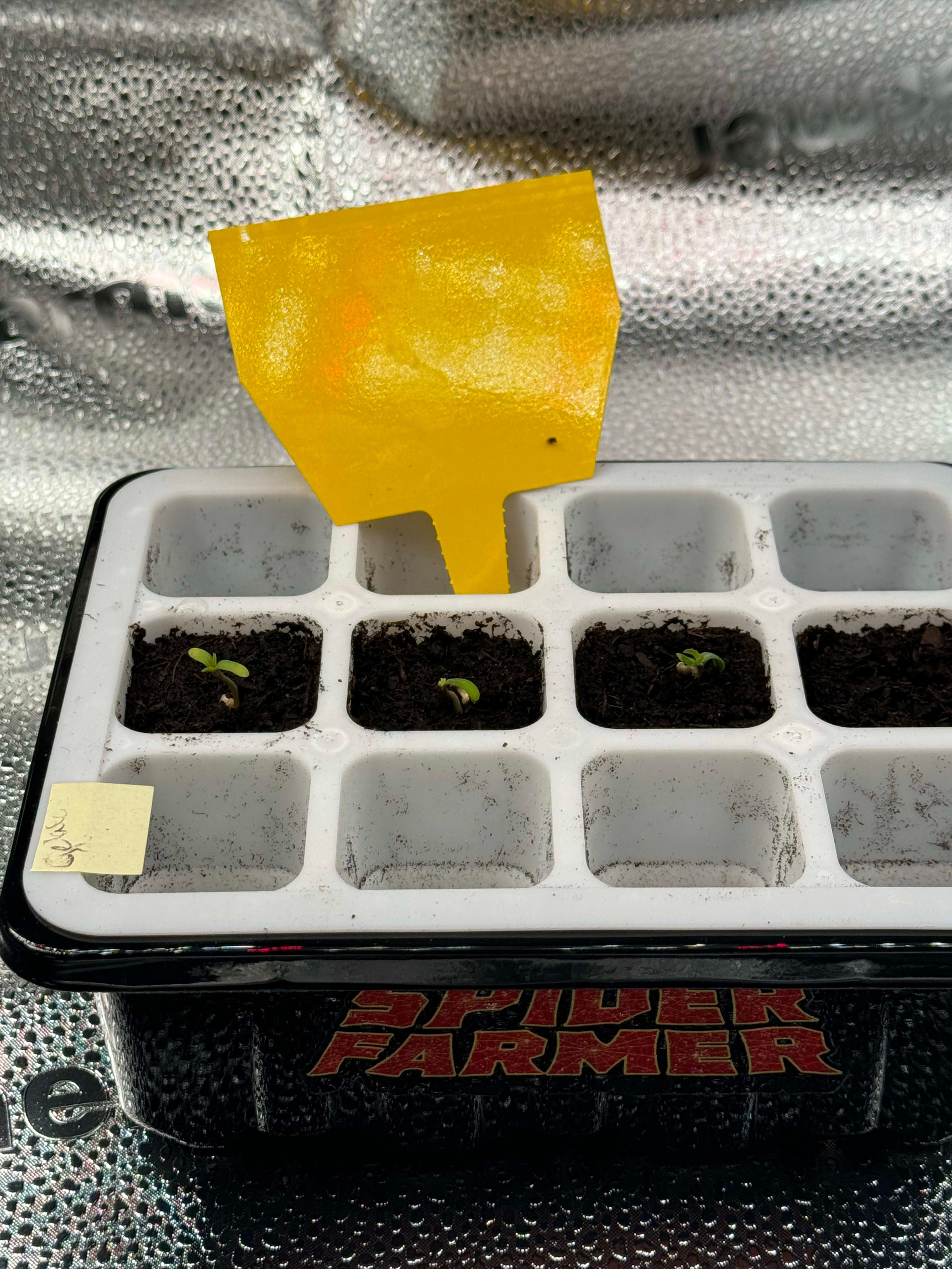 Header Image from Grow "First Grow"