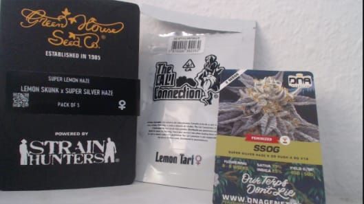 Header Image from Grow "Photo Grow: Super Lemon Haze, Lemon Tart, SSOG"