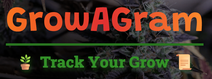 Header Image from Grow "Django ElRey 🌱"